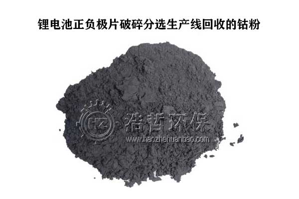 分選出的鈷粉材料